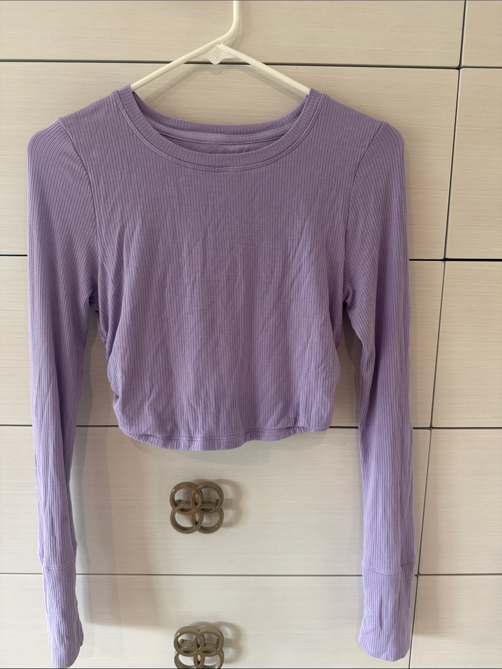 aerie Lilac Ribbed Long-Sleeve Crop Top